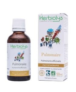 Herbiolys PHYTO Pulmonaire 50mL BIO - Pulmonaria officinalis BIO, 50 ml